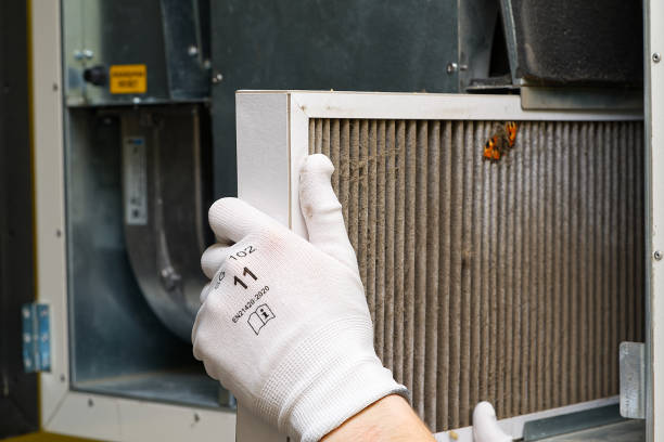 Best Ductwork Cleaning Services  in Zolfo Springs, FL