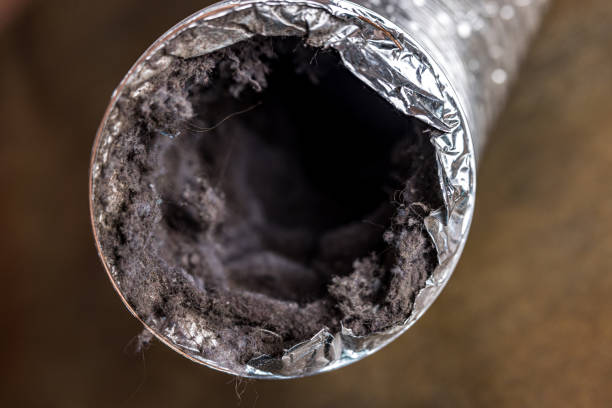 Best Air Duct Cleaning Near Me  in Zolfo Springs, FL