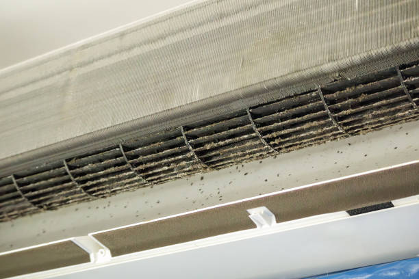 Best Affordable Duct Cleaning Services  in Zolfo Springs, FL
